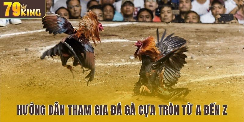 Đá Gà Cựa Tròn