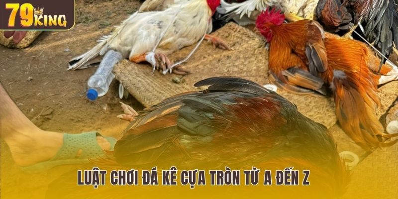 Luật chơi đá kê cựa tròn từ A đến Z 