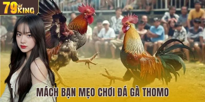 Mách bạn mẹo chơi dễ thắng lớn khi chơi đá gà 