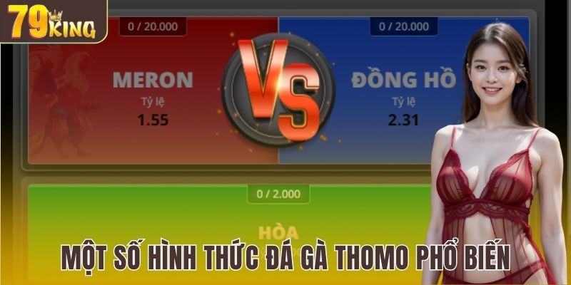 Một số hình thức đá gà Thomo phổ biến trên nhà cái