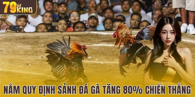 Nắm quy định sảnh đá gà tại nhà cái tăng 80% chiến thắng