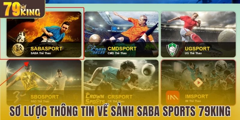 Sơ lược thông tin cơ bản về sảnh Saba Sports 79King