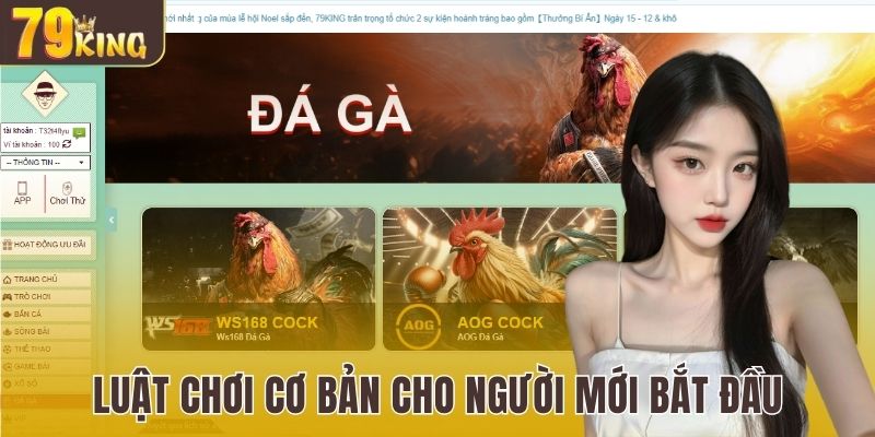 Tìm hiểu luật chơi cơ bản cho người mới bắt đầu